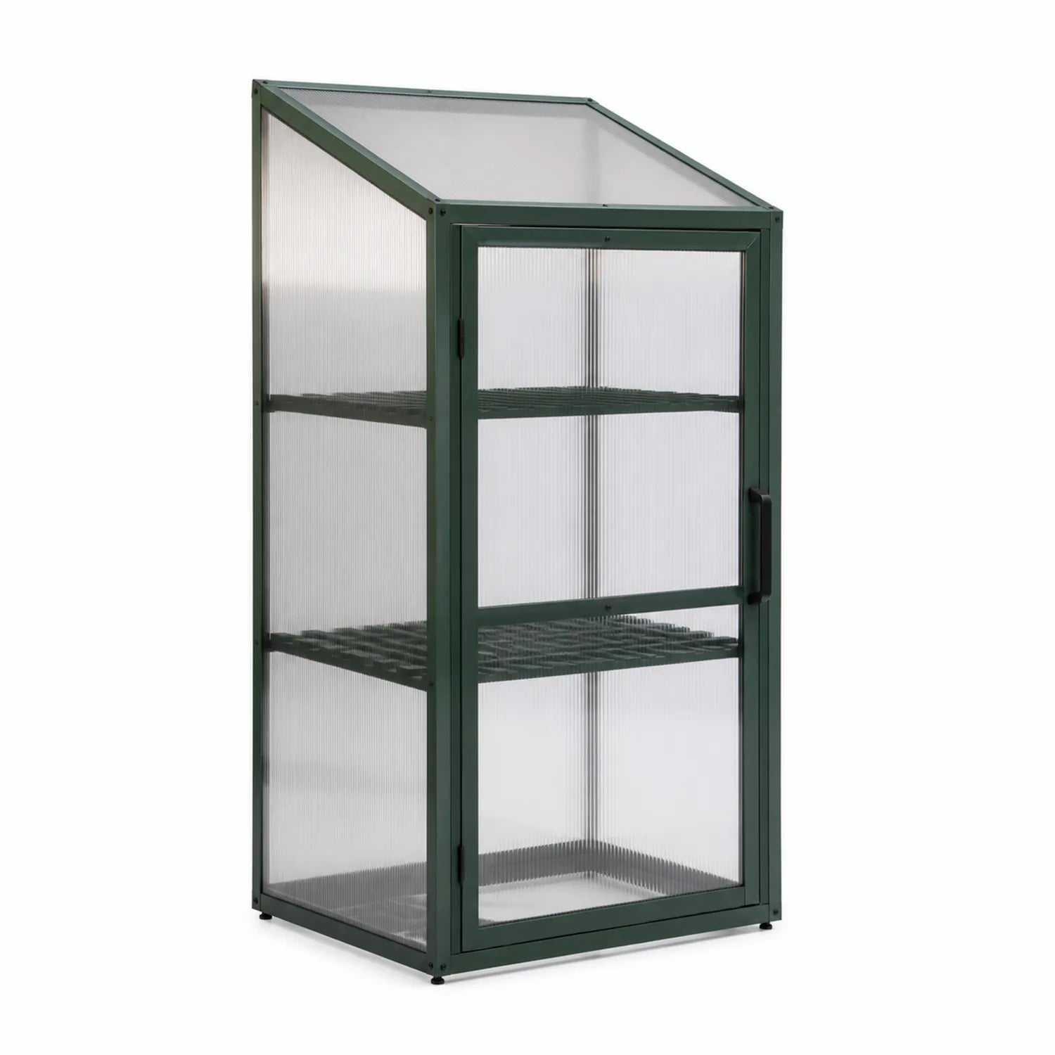 Serre de jardin en métal avec panneaux en polycarbonate vert